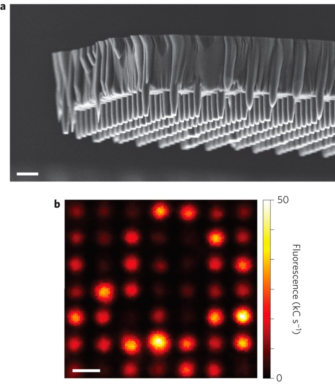 UCSB Probes the Hidden World A Look into Nanoscale Imaging The Daily