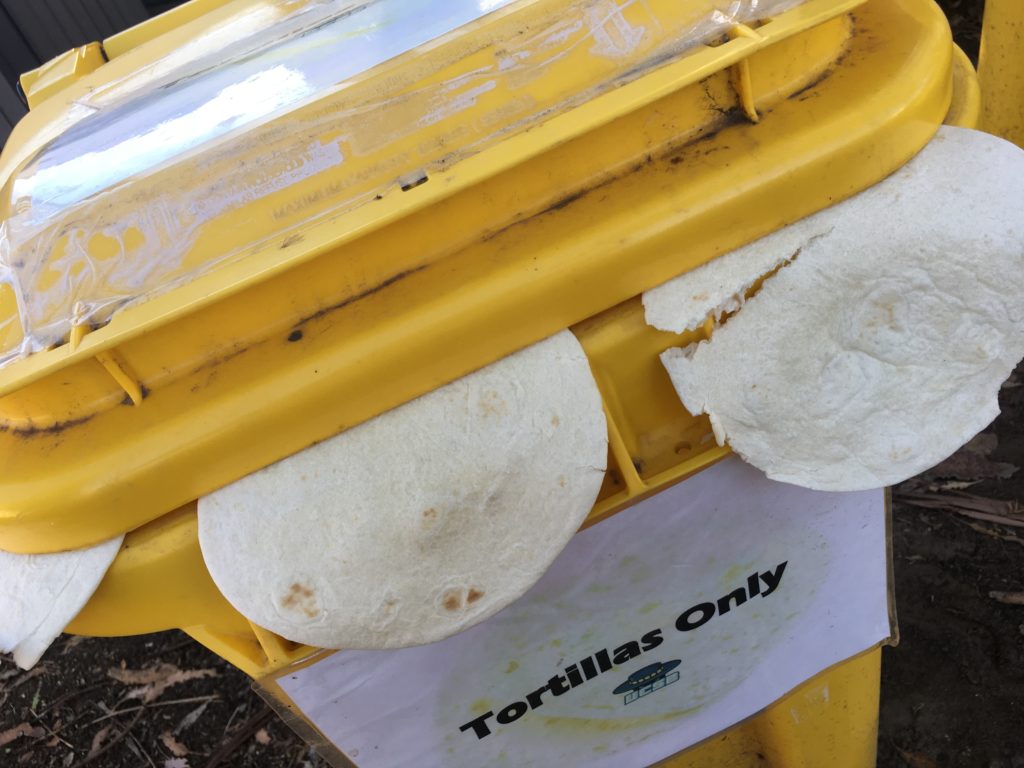 Tossed Tortillas Land in Campus Compost Bin The Daily Nexus