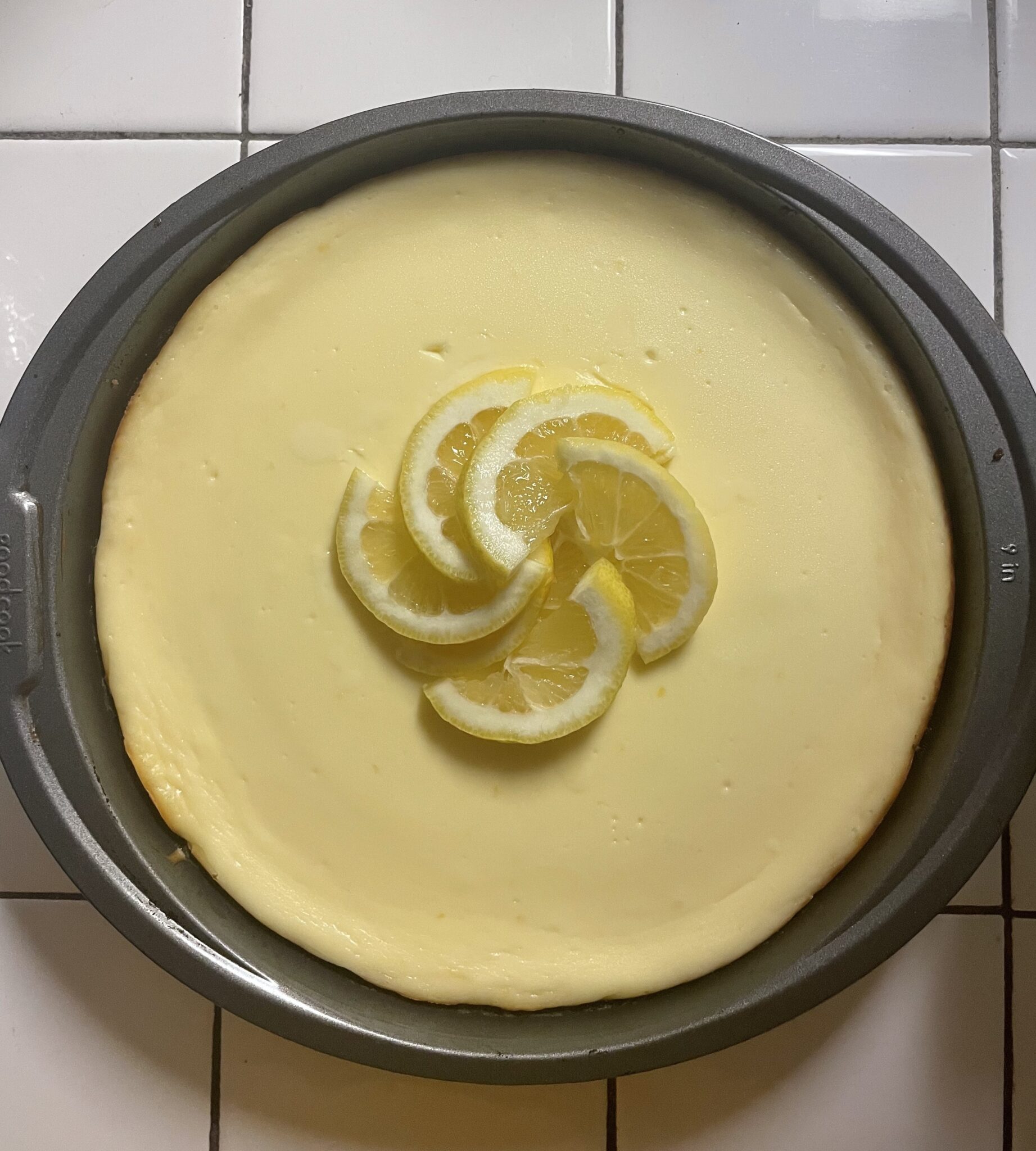 joey-sable-lemon-cheesecake