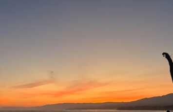 Devereux Beach at sunset