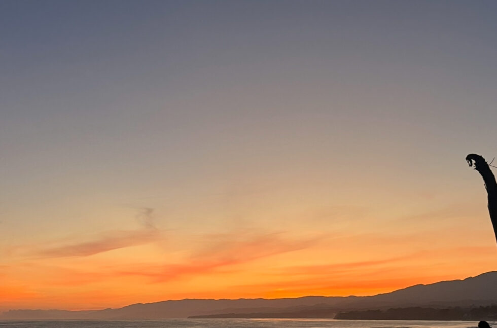 Devereux Beach at sunset